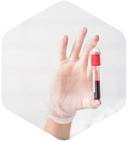 Pharmananda - Pharmaceutical Wholesaler