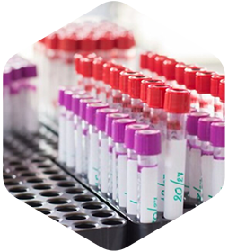 Pharmananda - Pharmaceutical Wholesaler